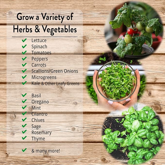 NorbBOTANIC UFO 40W LED Grow Light - Full Spectrum Sun-Spectrum™ for Indoor Plants, Hydroponics, Greenhouse, Herbs, Vegetables, Hemp. Mimics Sunlight, High-Intensity, Energy-Efficient, E26