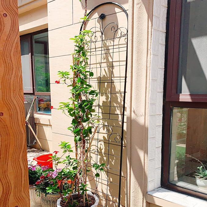 4 Pack Metal Garden Trellis for Climbing Plant Rose Stand, Cream White Outdoor 86.7'' Tall Flower Support Iron Garden Fence, Black 86.7''H