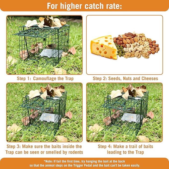 HOMESTEAD Collapsible Live Trap 14in – Small Animal Trap Cage for Red Squirrels, Adult Rats, and Small Weasels with 1″ Mesh Wire