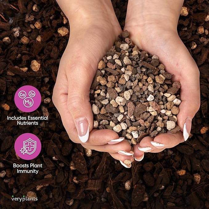 Molly's Succulent Mix - Premium Gritty Soilless Potting Mix for Succulents, Cactus and Bonsai - Contains Akadama, Hyuga, Bark Fines, Pumice, Lava Rock, Mycorrhizae 5.5 Liters