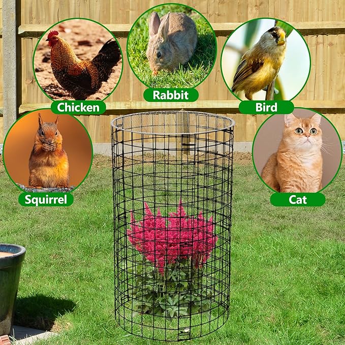 Adnee 8 Pack Wire Plant Protector with Cover-20" x 11" Detachable Metal Plant Protectors Mesh-Garden Plant Protectors for Flower Vegetable to Keep Animals Out