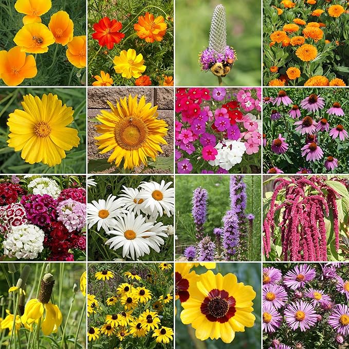 Ferry-Morse Pollinator Lover’s Mix Bulk Wildflower Seeds, 1lb