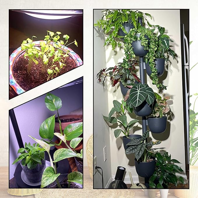 BR30 Grow Light Bulbs 18W 2000lm Full Spectrum Plant Happy Light Bulb 200W Equivalent E26 Base Balanced Spectrum 5000K Red Blue Grow Bulb for Indoor Plants Hydroponic Greenhouse Garden, 1 Pack