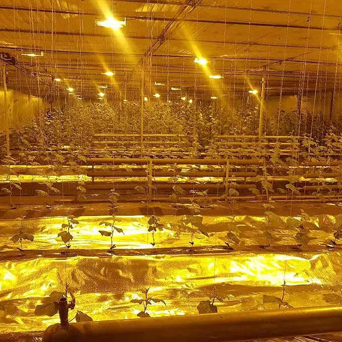 HFS(R) 6Mil Diamond Film Foil Roll Highly Reflective Aluminum Mylar for Grow Rooms and Greenhouses 4FT x 25FT