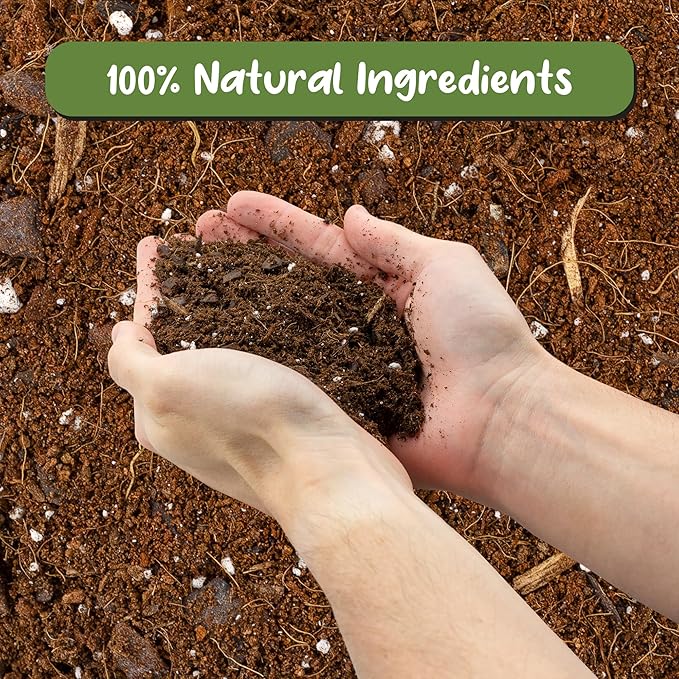 Aroid Plant Potting Soil Mix (8 Quarts), for Pothos Devil's Ivy, ZZ Plant, Chinese Evergreen, Dumb Cane, Philodendron, Syngonium, Alocasia, Colocasia Etc.