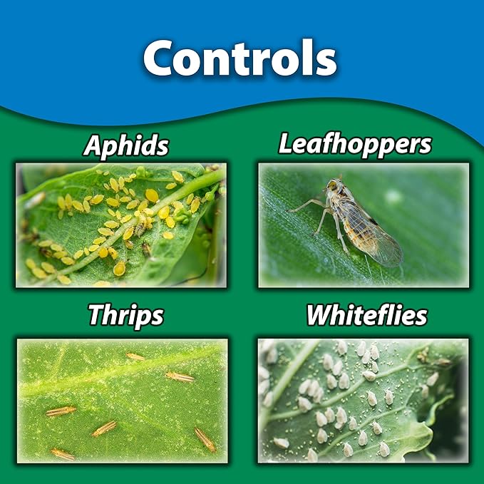Monterey Fruit Tree & Vegetable Systemic Soil Drench Treatment, Insecticide Concentrate for Control of Insects - 1 Gallon