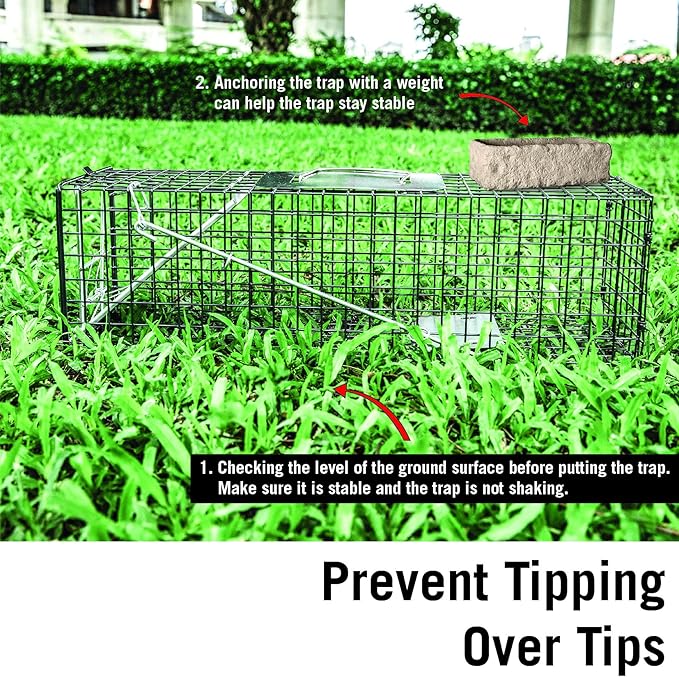 HOMESTEAD Heavy Duty Live Trap - Professional Style One-Door Live Animal Traps for Rabbit, Squirrel, Possum, Skunk, Kitten, Mink Small