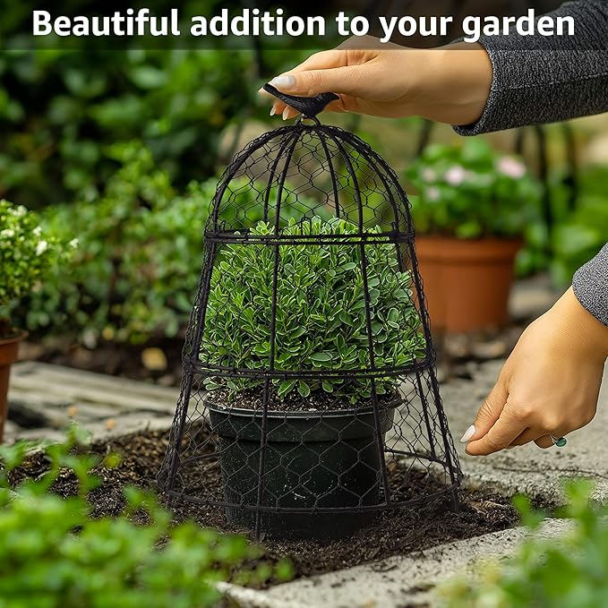 Pack of 12 Heavy-Duty Chicken Wire Plant Cloches – Rustproof Garden Protectors and Plant Cages for Vegetables and Flowers – Safeguard Plants from Deer and Critters – 20” x 12”
