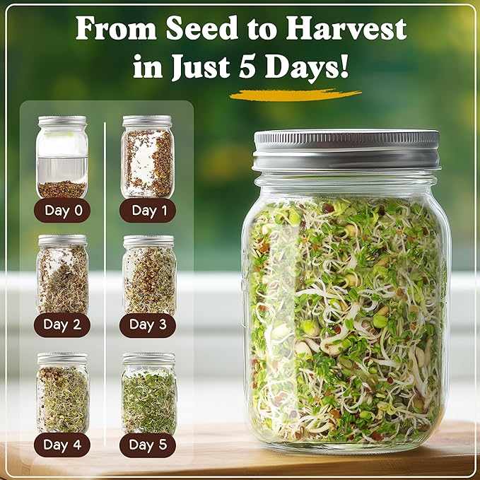 Seedboy Organic Sprouting Seeds - Salad Blend Variety- Non-GMO, USA Grown Microgreens Mix - Alfalfa, Broccoli, Radish, Mung Bean, Lentil - Makes 8 Quarts of Sprouts, 24 Servings (8 oz) (Salad Blend)