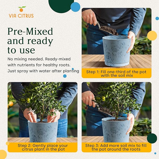 Chunky Soil Mix for Indoor Plants - Citrus Trees, Indoor Potting Soils, Loamy Soil for Tree Plant, Fruit Bedding, Lemon Tree Bedding Tropical and Potting Mix Soils (4.25 quarts) by Via Citrus