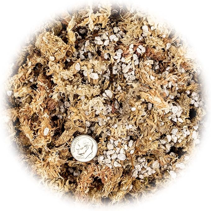 Sphagnum Moss Potting Mix for Carnivorous Plants, Moss and Perlite Blend for Potting Venus Fly Traps, Sarracenia, Pitcher Plants - 75% Sphagnum Moss + 25% Perlite - Made in USA - 4 Quart