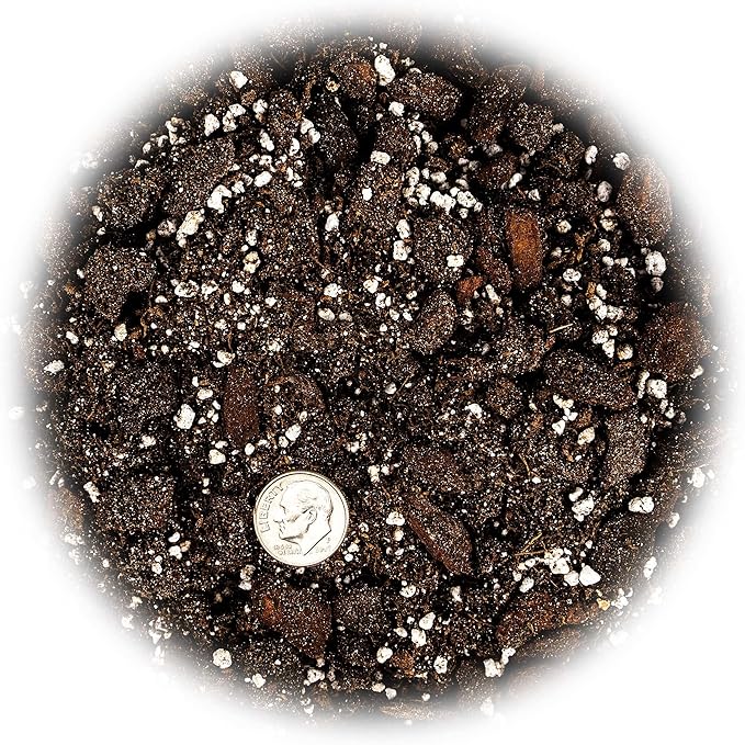 Professional Succulent Soil Premium All Purpose Blend | Pre-Mixed Ready to Use for Cactus and Succulents | Sphagnum Peat Moss, Perlite, New Zealand Pine Bark - Made in USA - 10 Quart