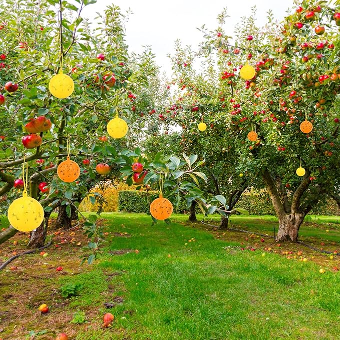 Original Fruit Fly Trap Ball, 12pcs Hanging Fungus Gnat Killer Catcher, Adhesive Sticky Glue Catching Ball Fly Gnat Wasp Hornet Mosquito Bugs Flying Insects Trap Ball for Indoor Outdoor Plant