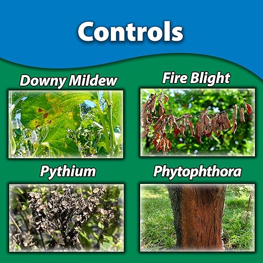 Monterey Garden Phos Bundled with Measuring Spoon - Fungicide for Root Rot, Downy Mildew, Fire Blight, Sudden Oak Death, Phytopthora & Pythium - 1 PT