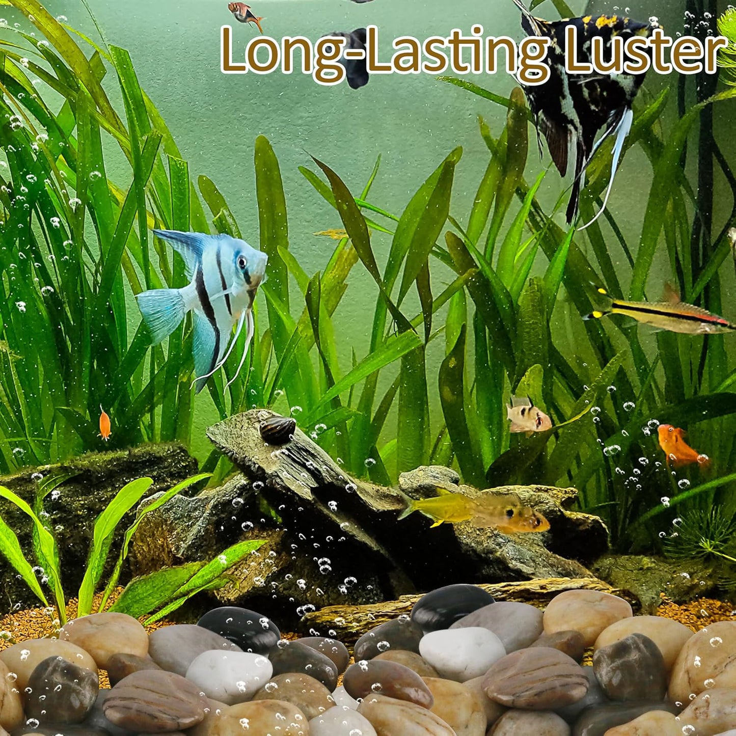 Sunnyglade 5 LBS River Rocks, 2-3 Inch Natural Pebbles for Indoor Plants, High Polished Decorative Stones Vase Filler Fish Tank Aquariums Landscaping Garden Outdoor and Indoor DIY (5, Pounds)