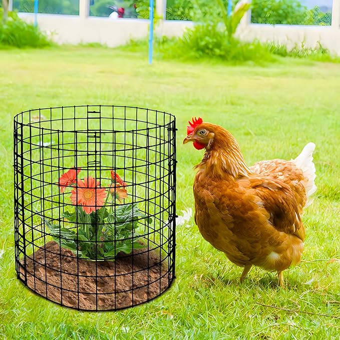 Adnee 10 Packs Wire Plant Protector from Animals - 12" H X 12" D Metal Mesh Plant Cage Covers - Sturdy Garden Bunny Barricades Chicken Wire Cloche for Plants Shrubs Vegetables Flowers