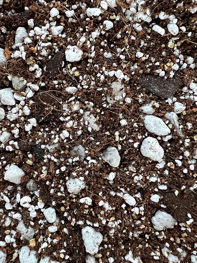 rePotme Christmas Cactus Imperial Potting Soil Mix - Mini Bag (2 Quarts)