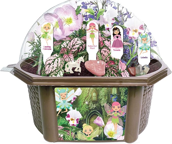 Toys by Nature Fanciful Fairy Biosphere Terrarium Starter Kit, Complete Supplies Included to Create Your Own Enchanting Garden and Indoor Plants! (Fanciful Fairy Garden)