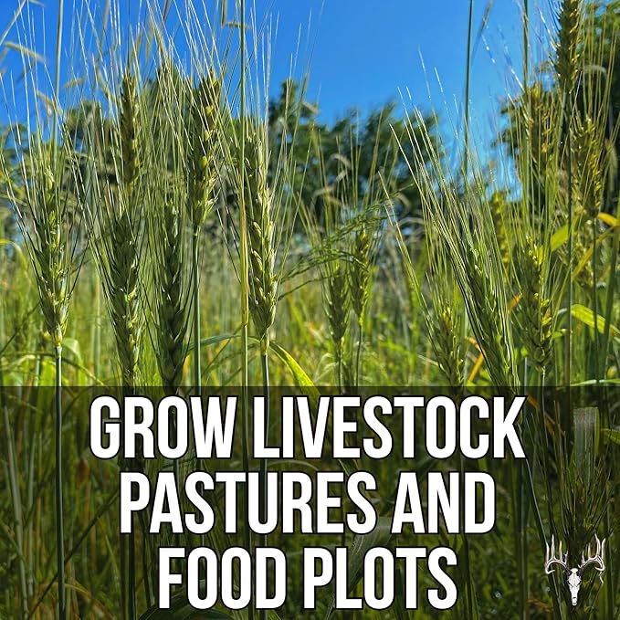 Last Resort Blend, 12LB EcoPack, Winter Food Plot Seed for Deer, Cereal Grain Rye, Wheat, Barley, Triticale & Oat Seeds Grow Whitetail & Turkey Attractants & Cold Hardy Hunting Food Plots