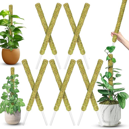 DUSPRO Natural Stackable Moss Pole for Plants Monstera Potted Plant Stakes for Indoor Plants Extendable Plant Pole Moss Sticks for Plants Climbing Vine Supporting Monstera Trellis 10Pcs 22''