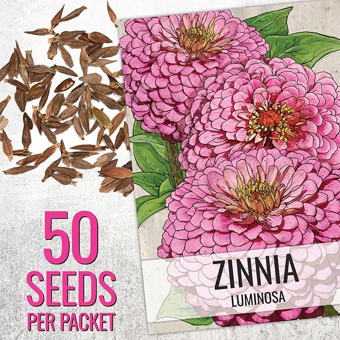 Seed Needs Zinnia Seeds for Planting California Giants Zinnias - Collection of 9 Individual Heirloom Seed Packets - Grow a Butterfly Garden to Attract Butterflies, Bees & Other Pollinators