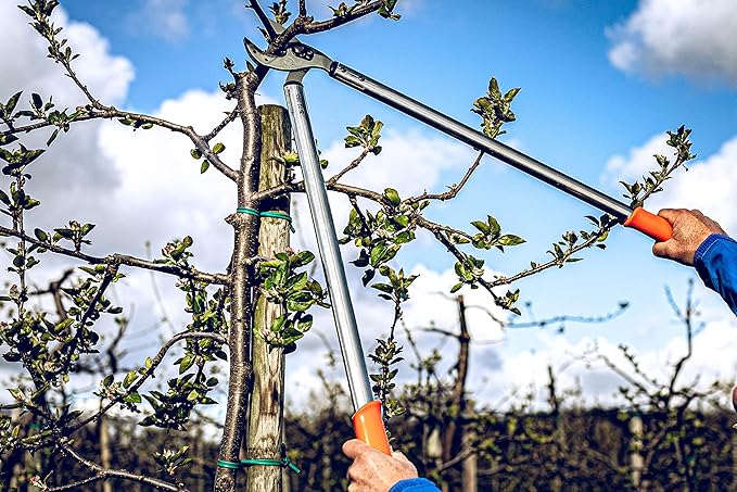 Original LÖWE Professional Anvil Lopper Garden Tools 22.080 | Use as Pruners, Garden Shears, Pruning Shears for Gardening | For cutting branches, twigs, trees & shrubs | 31.5 inches | Made in Germany