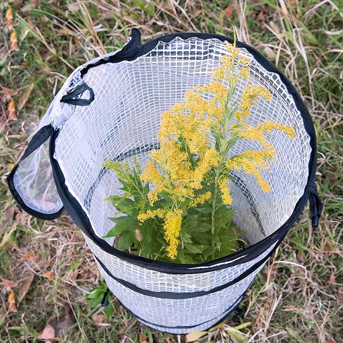 DECOHS 2 PCS Pop up Mini Greenhouse-23.4x11.6 Inch PVC Spring-up Plant Protector with Zipper-Portable Greenhouse Cover for Gardening Plants Cold Frost Protection Wind Rain Proof