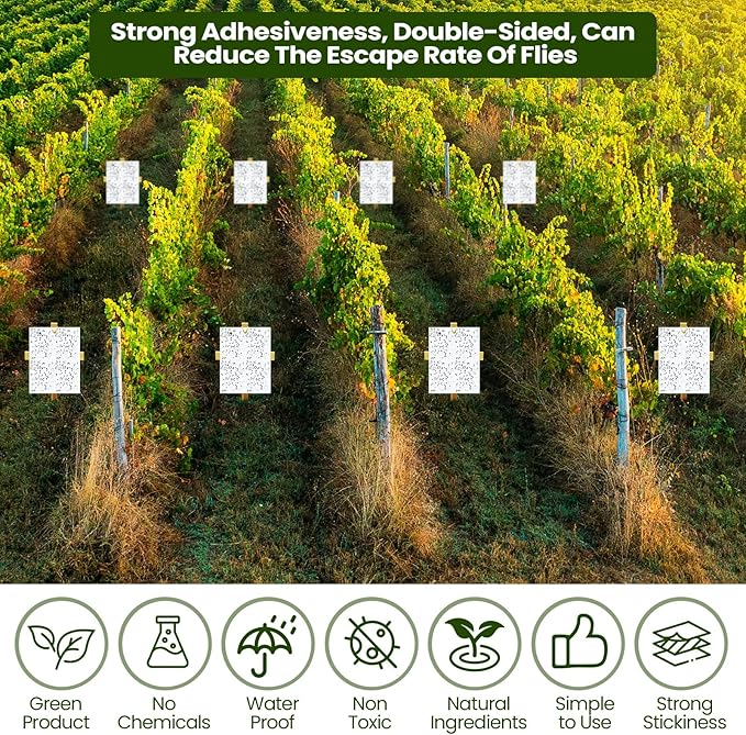 Qualirey 100 Pcs 6 x 8 Inch Sticky Traps for Plant Double Sided Sticky Trap for Gnats with Twist Ties Fly Traps for Fruit Insect Fungus Bugs Indoor Outdoor (White)