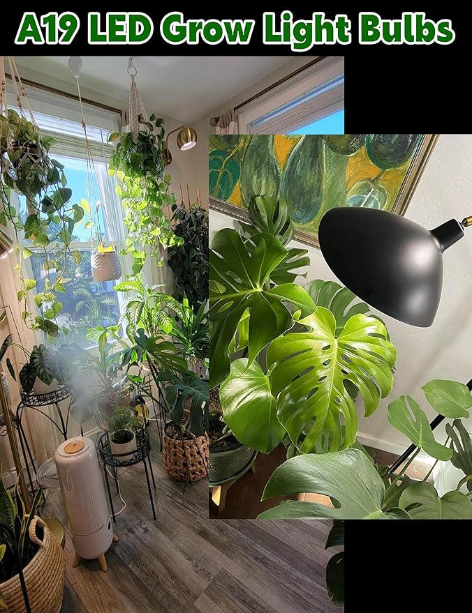 Grow LED Light Bulbs Full Spectrum, E12 12W Small Candelabra Sun Plant Bulbs 100w Equivalent, Balanced Spectrum 5000K Blue Red for Flowers,Seed Starting,Indoor Growing,6Pcs