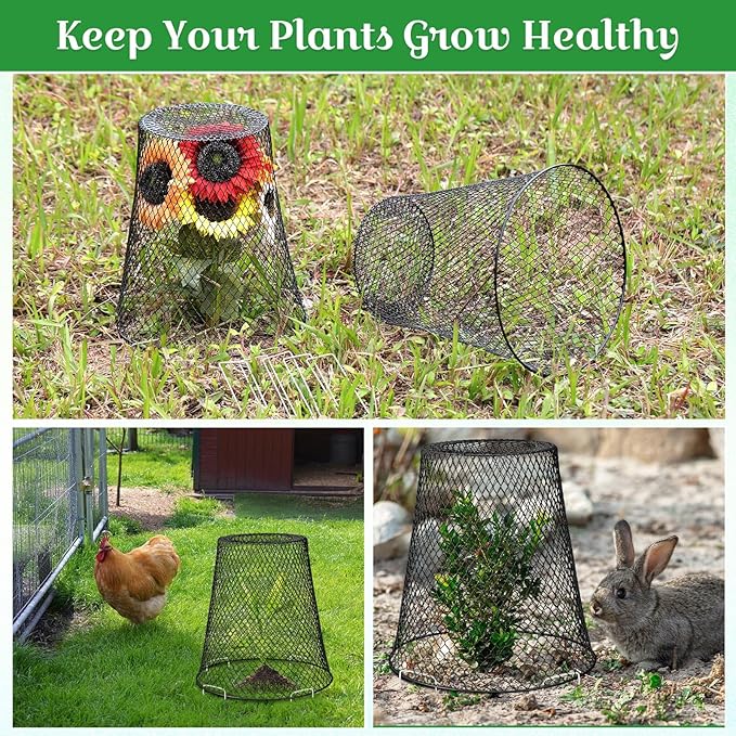 Therwen 6 Pcs Large Chicken Wire Cloche Plant Protector Cover 11x12 Inch Metal Garden Cloche Dome for Plants Wire Protection Basket with Garden Stakes Plant Cages from Animals (Black)