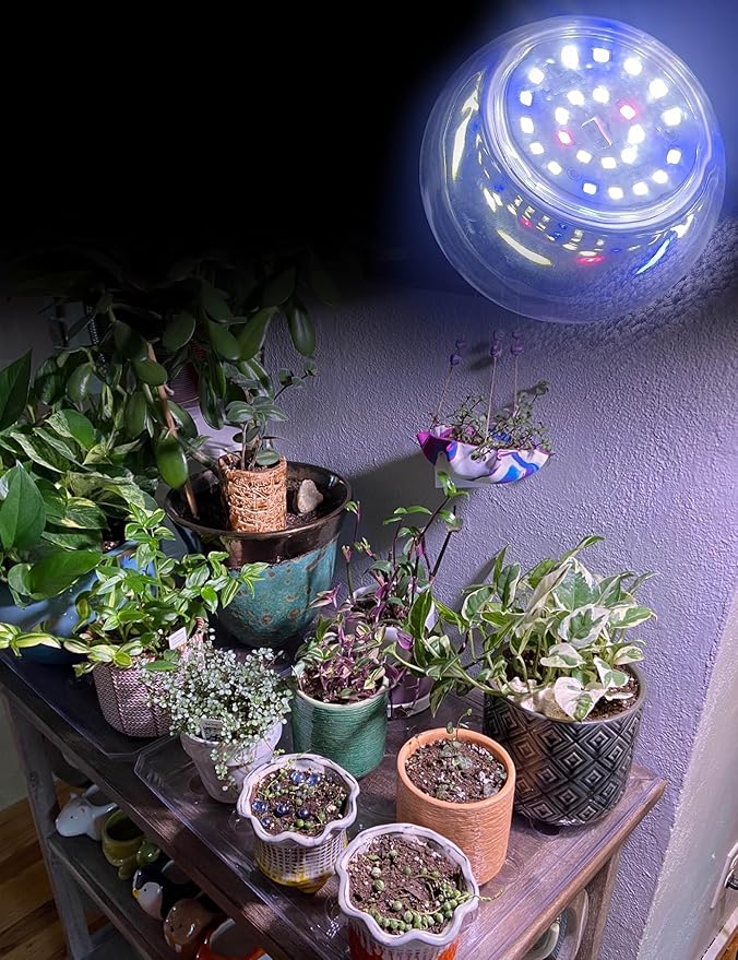 Grow LED Light Bulbs Full Spectrum, E12 12W Small Candelabra Sun Plant Bulbs 100w Equivalent, Balanced Spectrum 5000K Blue Red for Flowers,Seed Starting,Indoor Growing,6Pcs