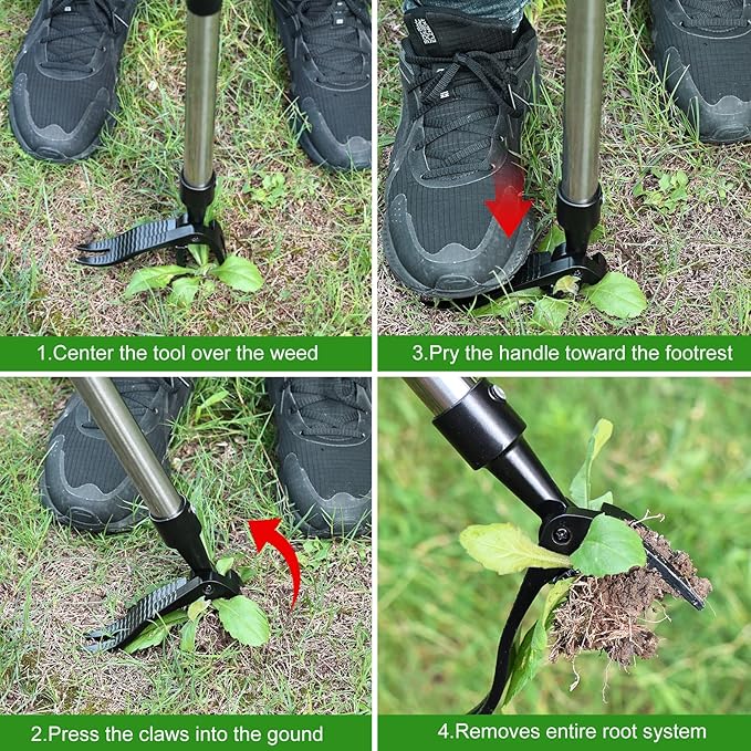 Weed Puller Tool, Lightweight, 4-Claw Stand Up Weeder Tool with Adjustable Handle for Remove Weeds Without Bending or Kneeling, Easily Remove Dandelions, Thistles, Plantain, Crabgrass.