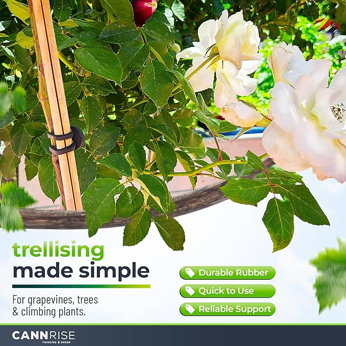 Anchor Rubber Bands for Trellising – 70 Pack of 8 cm/3.14 inches Rubber Bands for Outdoor Plant Support, Climbing Plants, Grape Vines, Trees – UV-Protected, Elastic, Multi-Purpose Use