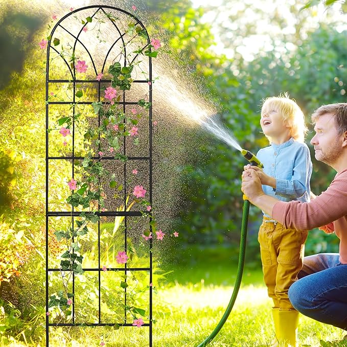 Garden Trellis for Climbing Plants Outdoor, 62"X15" Metal Garden Trellises, Decorative Garden Fencing Flower Trellis with Durable Powder Coating for Vines, Vegetable Support, Black (4, Pattern-B)