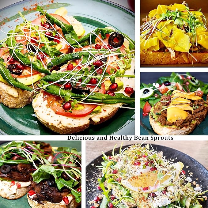 Organic Seed Sprouting Jar Kit – 2 × 32 oz Wide-Mouth Mason Jars with Stainless-Steel Sprouter Lids & Stand, Blackout Sleeves, Drain Tray – Grow Broccoli, Alfalfa & Bean Microgreens