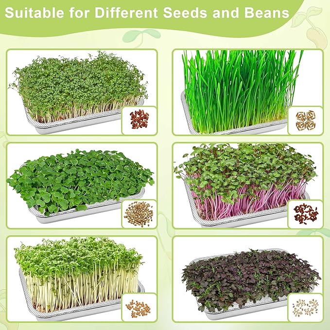 Stainless Steel Sprouts Growing Kit 3-Tier 10.4 inch Trays, Microgreens Growing Kit, Seed Sprouting Tray with Encrypted Mesh Sprouts for Beans Alfalfa Broccoli Wheat Grass