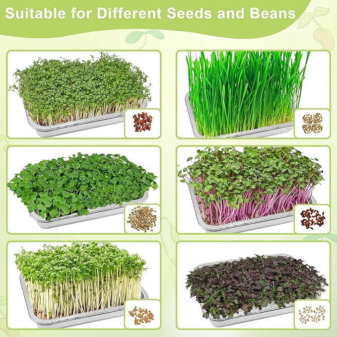 Stainless Steel Sprouts Growing Kit 3-Tier 12.4 inch Trays, Microgreens Growing Kit, Seed Sprouting Tray with Encrypted Mesh Sprouts for Beans Alfalfa Broccoli Wheat Grass