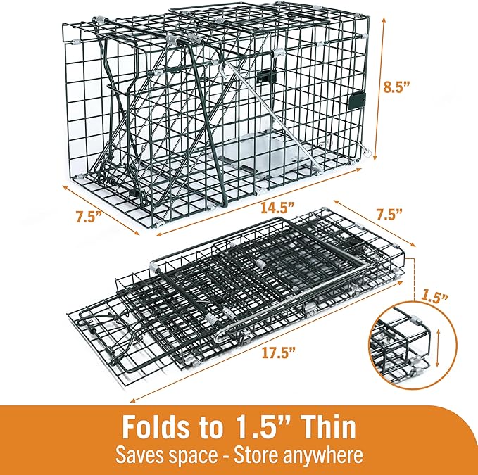 HOMESTEAD Collapsible Live Trap 14in – Small Animal Trap Cage for Red Squirrels, Adult Rats, and Small Weasels with 1″ Mesh Wire