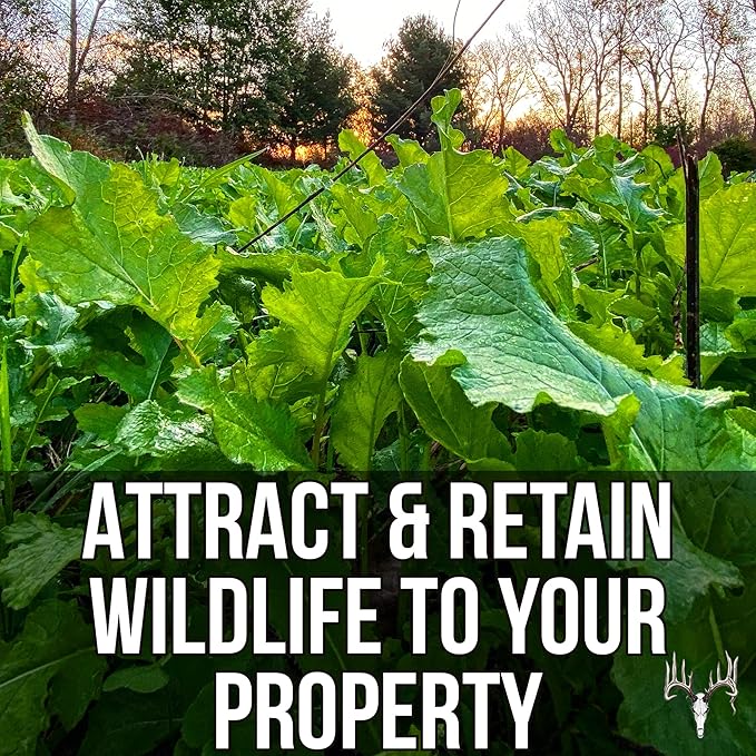 Branson’s Buffalo Blend, 12LB EcoPack, Whitetail Food Plot Seed for Deer, Turkey, Pheasant, Dove, Elk & Duck, Plant Seeds Grow Forage to Feed & Attract Wildlife to Hunting Plots, No Till