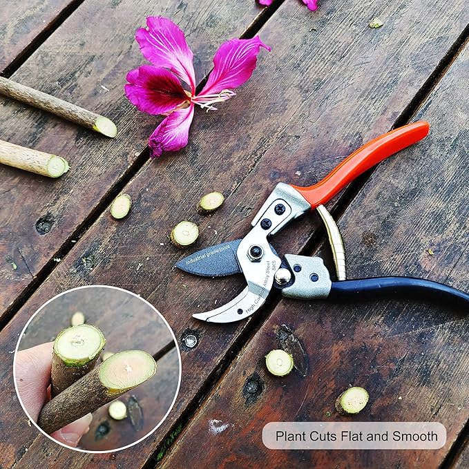 TONMA Anvil Pruning Shears [Made in Japan] Professional 8 Inch Heavy Duty Garden Shears Secateurs with Ergonomic Handle, Japanese Hand Pruners for Plants Thick Stems Dead Branches