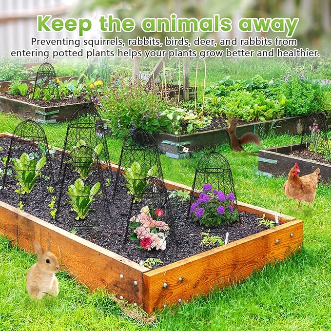 6 Pcs Garden Cloches for Plants, Metal Extra Large Chicken Wire Cloche Plant Covers, Garden Netting Plant Protectors from Animals to Keep Squirrel, Rabbit, Chicken and Bird Out 17" H x 13" D Black