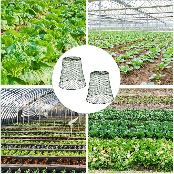 20 Pcs 9×9inch Chicken Wire Plant Covers Wire Garden Cloches Chicken Wire Cloche Plant Protector Metal Heavy Duty Garden Plant Cloche for Keeping Bunnies Chicken Squirrels Birds Other Out