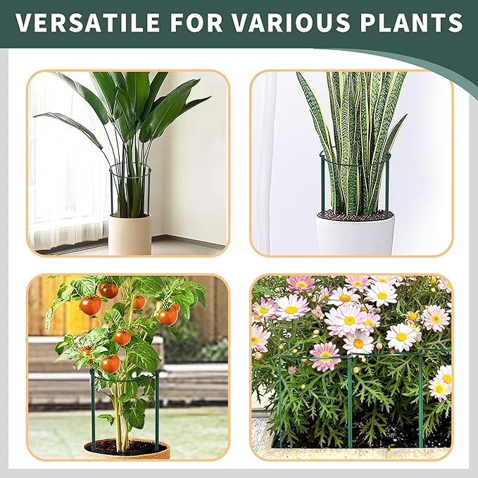 TCBWFY 10 Pack Garden Supports for Plants Metal 10" Wide x 24" High Interlock Half Round Garden Plant Support Ring Border Support Plant Support Ring Cage for Rose Flowers Vine Tomato