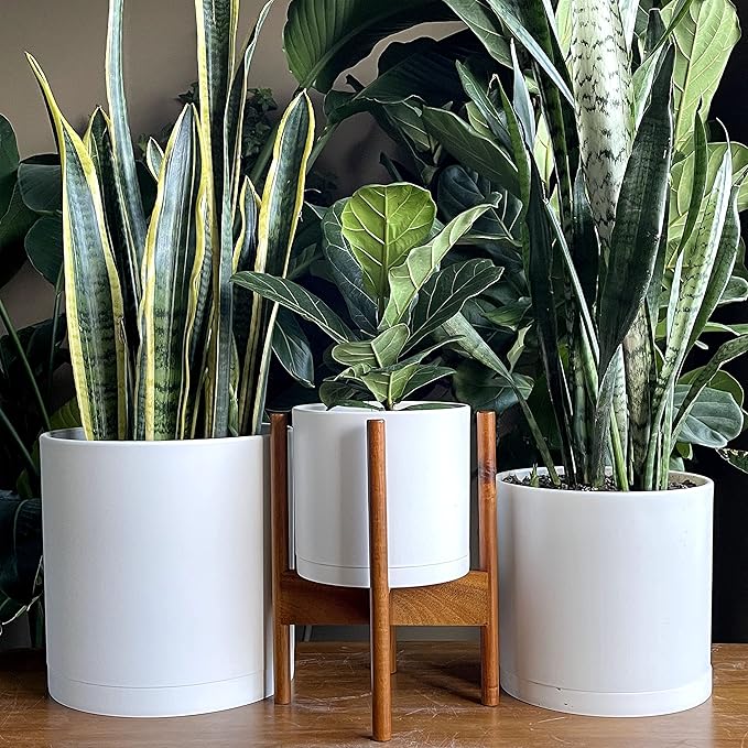 D'vine Dev 8 Inch 10 Inch 12 Inch, Set of 3 Plastic Planter Pots for Plants with Drainage Hole and Seamless Saucers, White Color, X-Large, 74-V-A-5