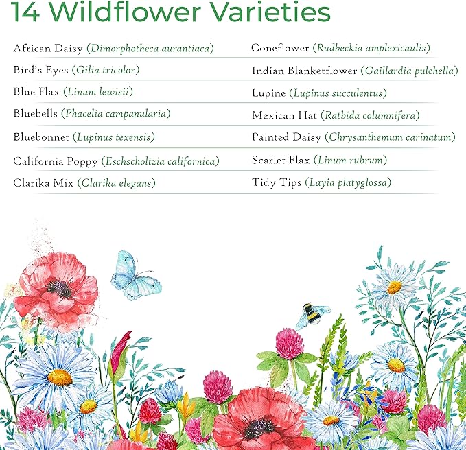New Mexico Wildflower Seed Mix, Covers 325 Sq Ft, 14 Flower Varieties, Over 30,000 Seeds, Created By Nature