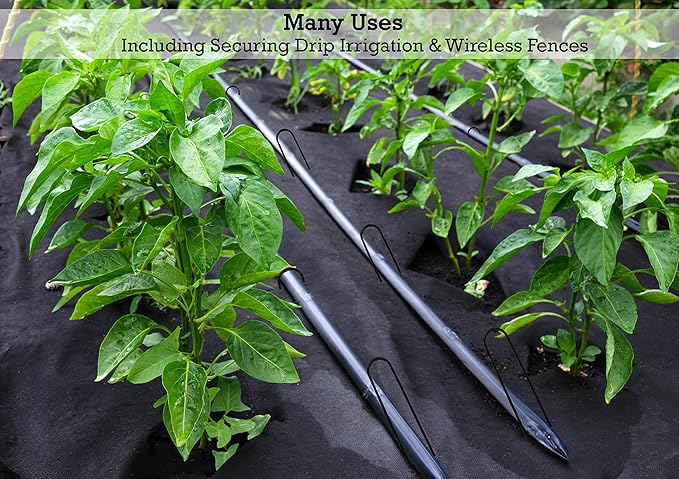 Sandbaggy Round Top 6-Inch Landscape Staples ~ SOD Garden Stakes Square Pin for Ground Cover Fabric & Drip Irrigation Tubing (1,000 Staples)