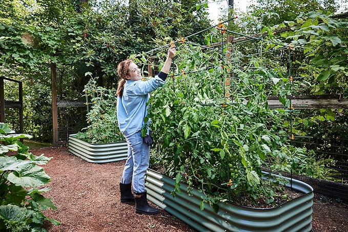 Plant Support Clips for Trellis, Garden Stakes, Wire Fence, Climbing Plants, Indoor Gardening, Hydroponics Systems, and Vines | Durable Gardening Clips (Incognito Green - 100 Pack)