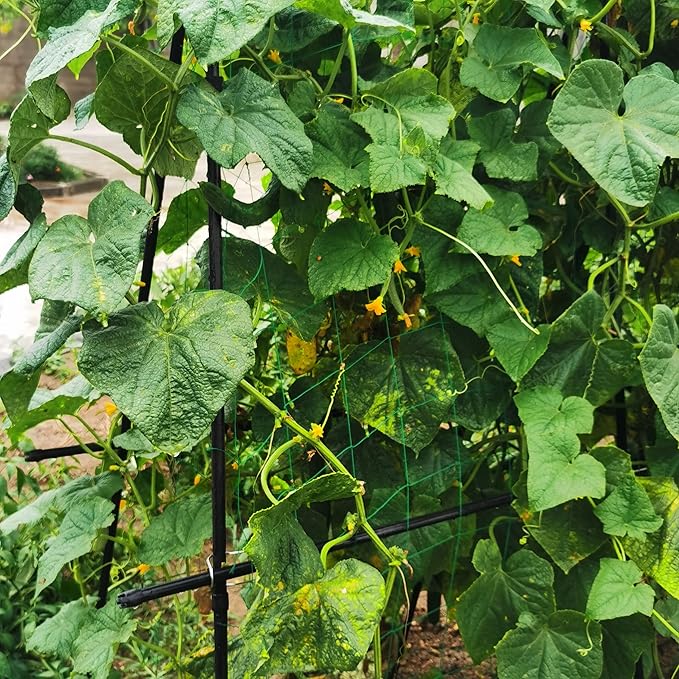 Cucumber Trellis 69.8" H x 36" W, A Frame Garden Trellis for Raised Bed Climbing Plants Metal+PE Coated Grow Support for Vines, Vegetables