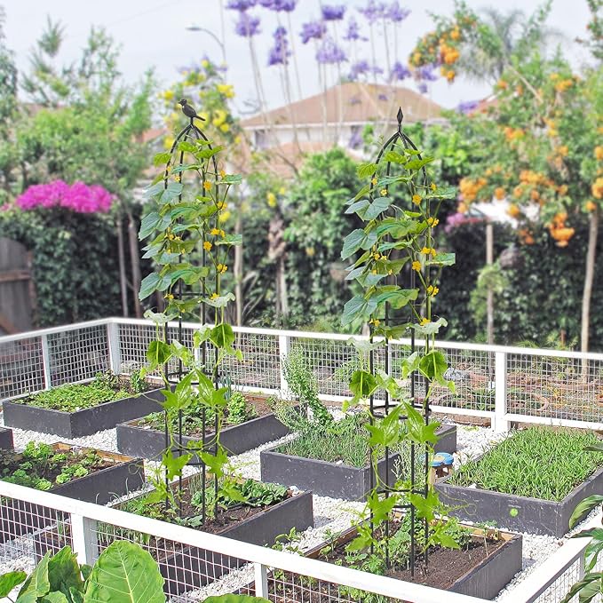 Happygrill Garden Trellis for Climbing Plants, 78” Tall Metal Obelisk Trellis w/Adjustable Height, Gloves, Cable Ties, 2 in 1 Plant Cages & Supports for Flowers, Vegetables, Vines Indoor Outdoor
