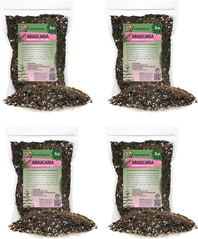Premium Araucaria Potting Soil Mix - Perfect Balance of Nutrients, Drainage, and Aeration for Healthy Araucaria Trees - 20 Quart